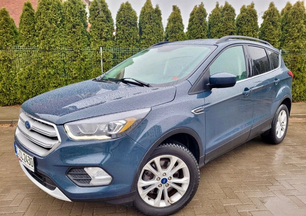 Ford Escape cena 73500 przebieg: 86840, rok produkcji 2019 z Pniewy małe 137